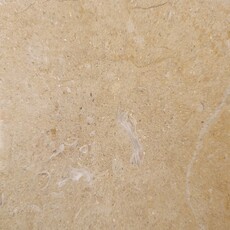 JERUSALEM GOLD SHELL A55 - MPK STONE