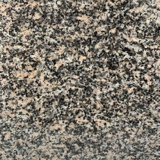 КАМЕННОГОРСКИЙ  - MPK STONE